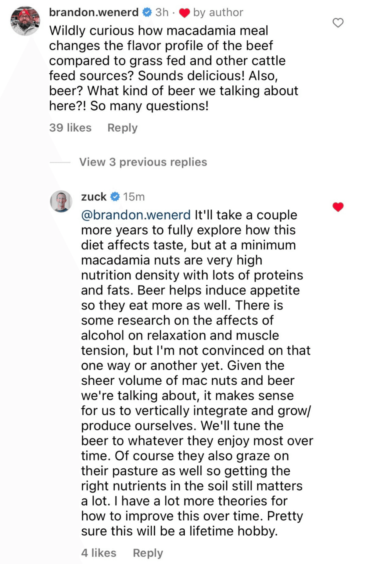Instagram comment from the founder explaining the cattle diet of macadamia nuts and beer, ending 'Pretty sure this will be a lifetime hobby'